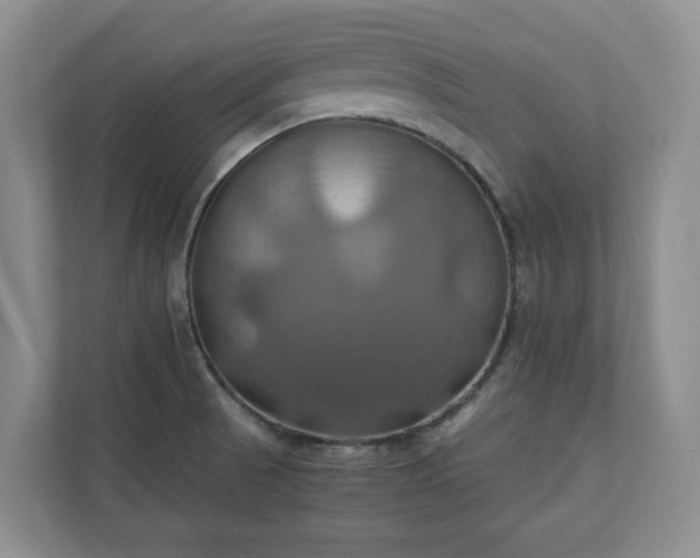 X0000111031521200907021528