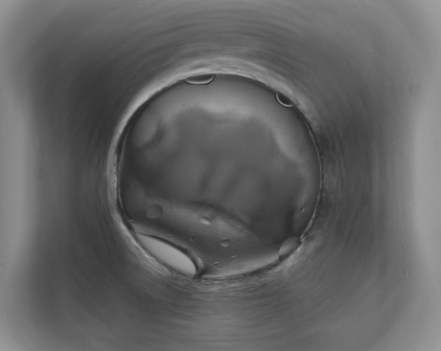 X0000111031522200907021528