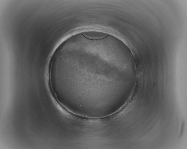 X0000111031523200907021528