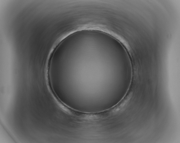 X0000111031525200907021528