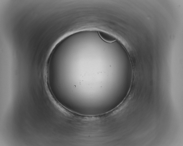 X0000111031526200907021528