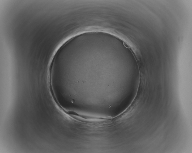 X0000111031527200907021528