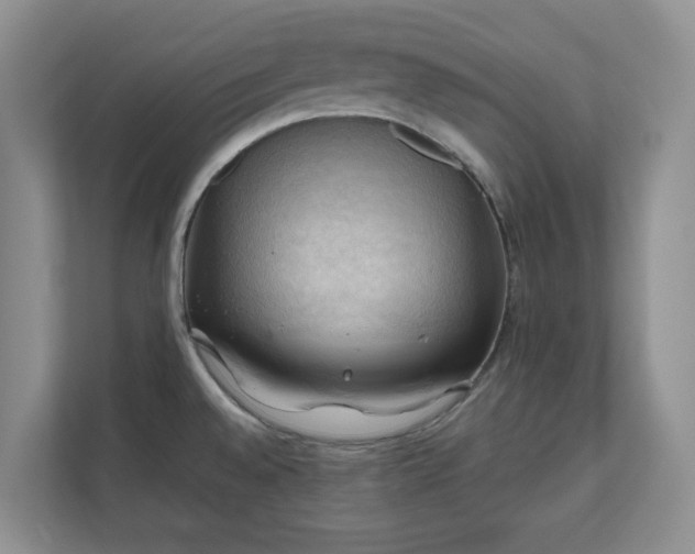 X0000111031528200907021528