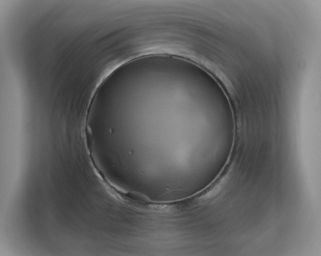 X0000111031529200907021528