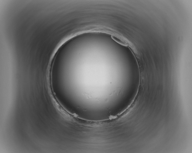 X0000111031530200907021528