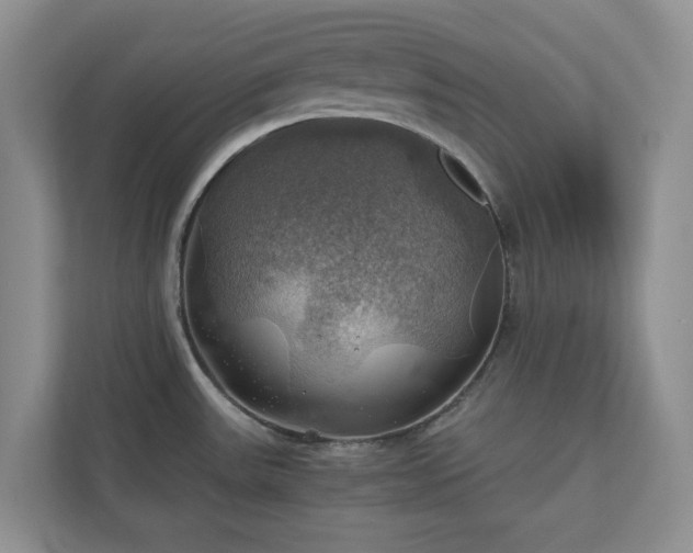 X0000111031531200907021528
