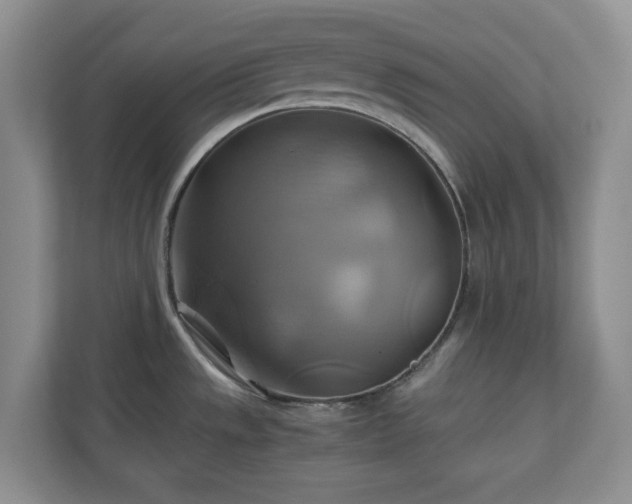 X0000111031533200907021528