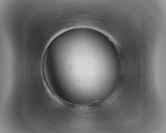 X0000111031534200907021528