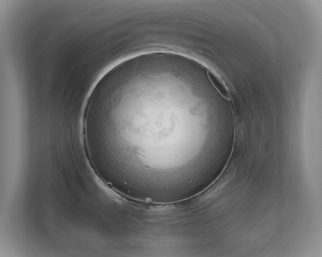 X0000111031535200907021528