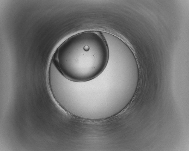 X0000111031536200907021528