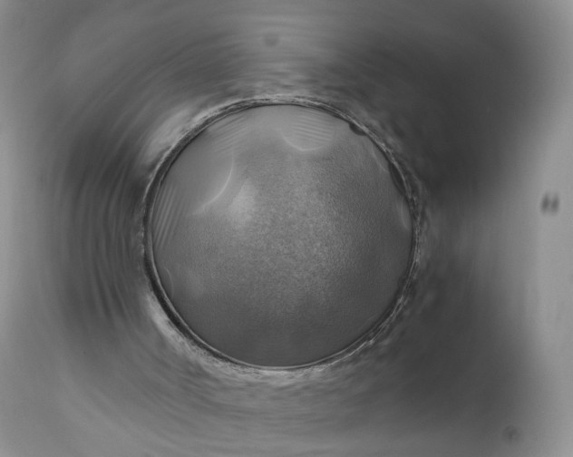 X0000111030002200907091556