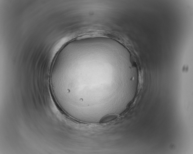 X0000111030003200907091556