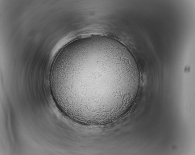 X0000111030004200907091556