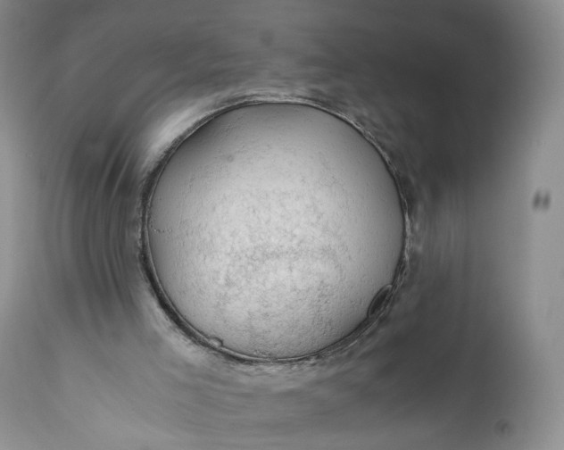 X0000111030005200907091556
