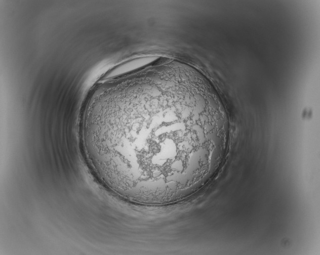 X0000111030006200907091556