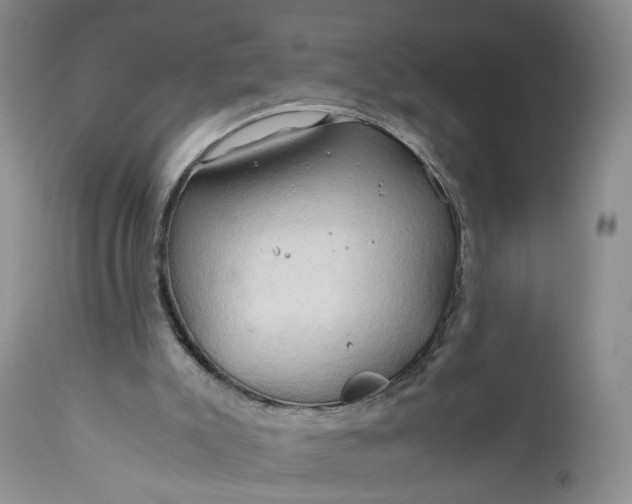 X0000111030007200907091556