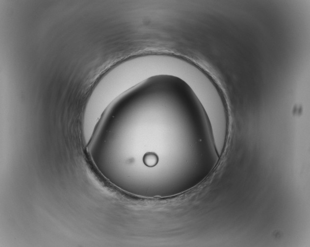 X0000111030009200907091556