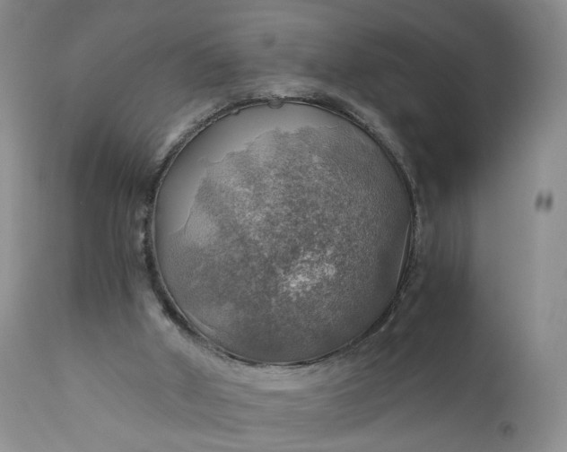 X0000111030010200907091556
