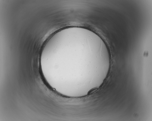 X0000111030011200907091556