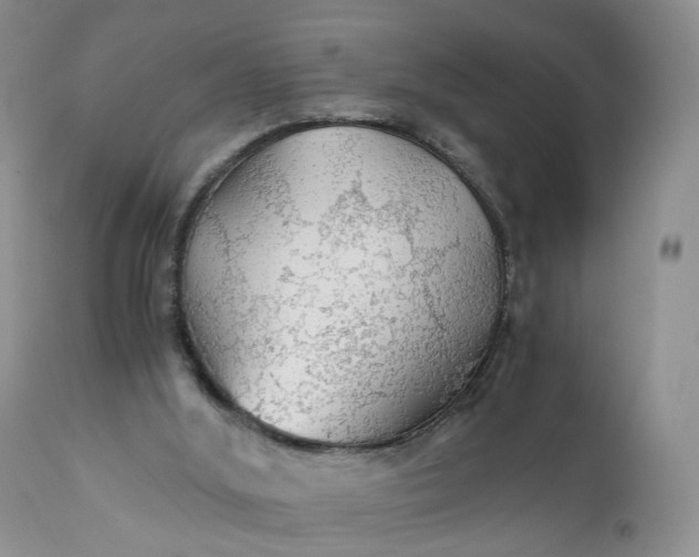 X0000111030012200907091556