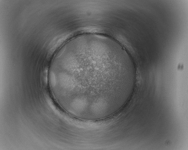 X0000111030014200907091556