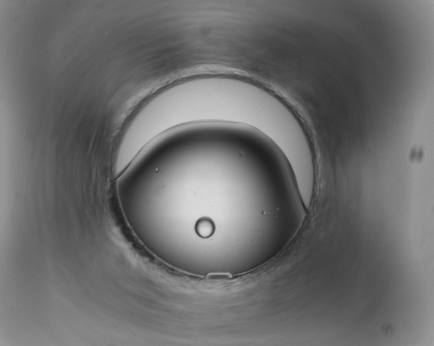 X0000111030015200907091556