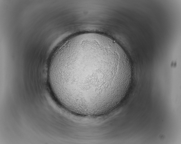 X0000111030016200907091556
