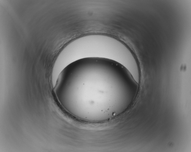X0000111030017200907091556