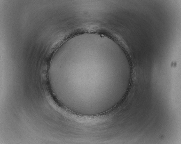 X0000111030018200907091556