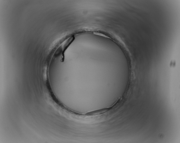 X0000111030019200907091556