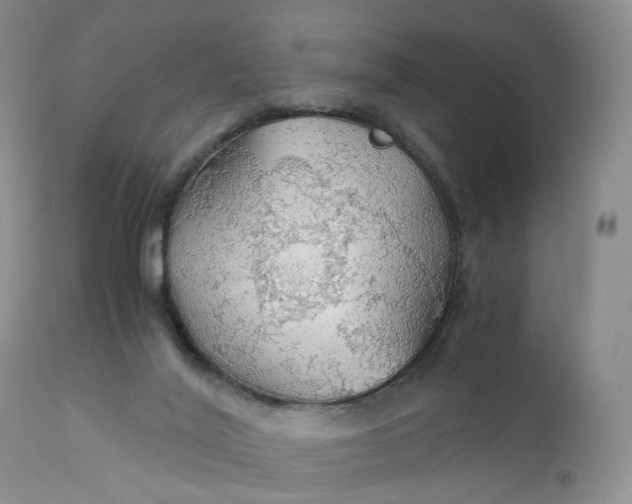 X0000111030020200907091556
