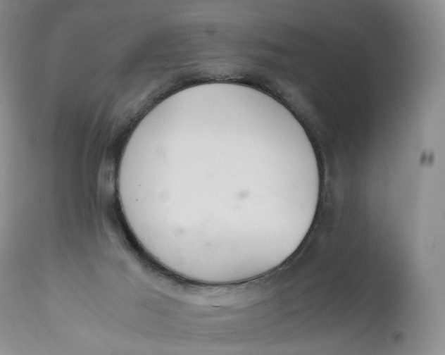 X0000111030021200907091556