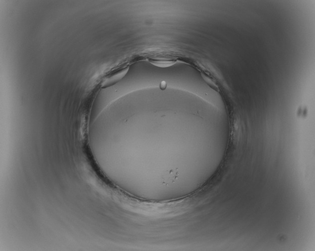 X0000111030023200907091556