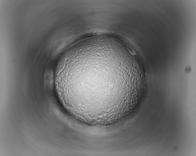 X0000111030024200907091556