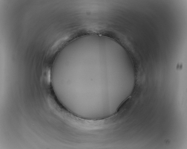 X0000111030027200907091556