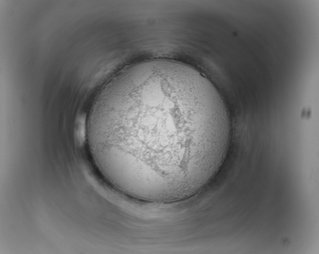 X0000111030028200907091556