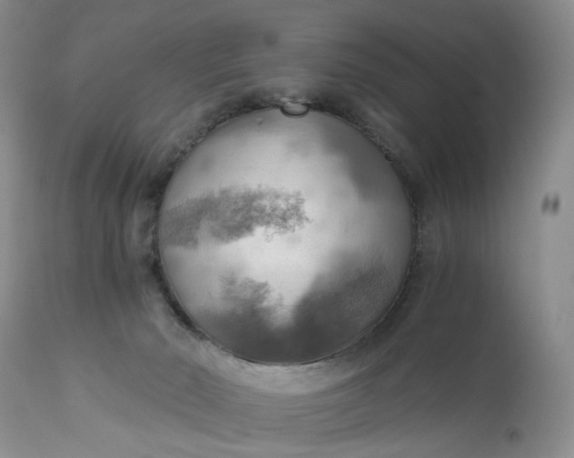 X0000111030030200907091556