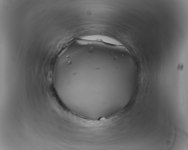 X0000111030031200907091556