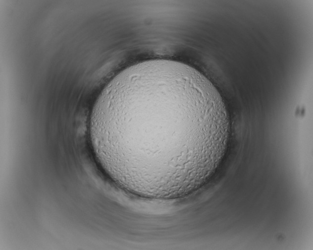 X0000111030032200907091556