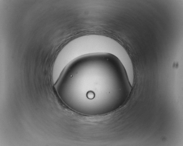X0000111030033200907091556