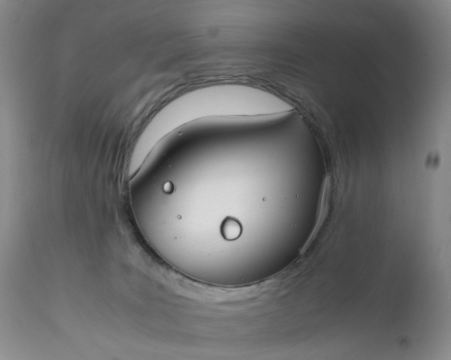 X0000111030035200907091555