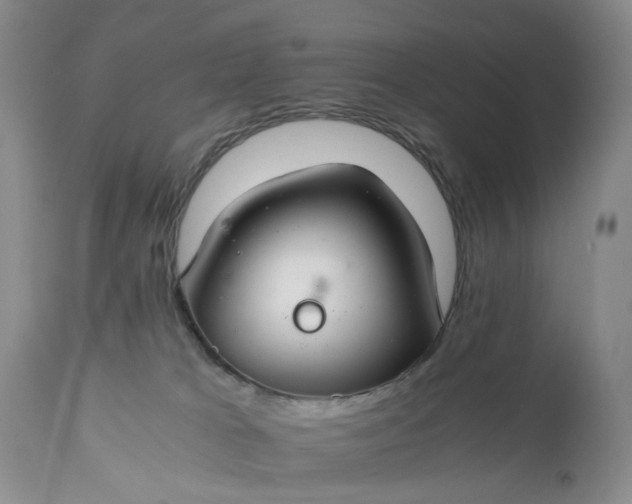X0000111030037200907091555