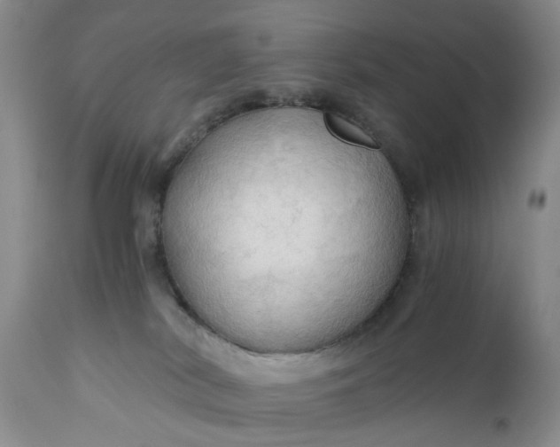 X0000111030038200907091555
