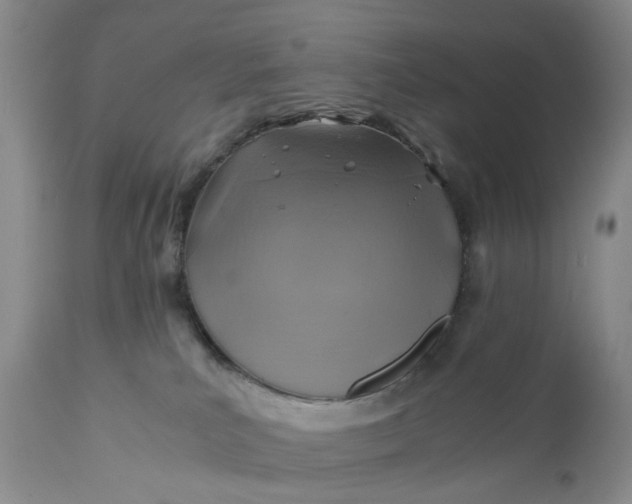 X0000111030039200907091555