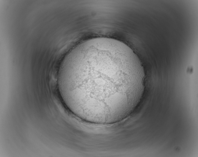 X0000111030040200907091555