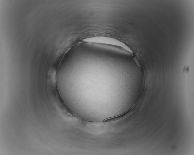 X0000111030041200907091555