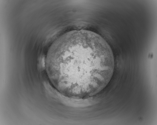 X0000111030042200907091555