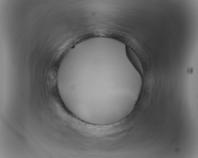 X0000111030043200907091555