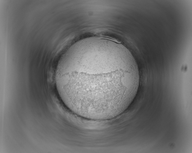 X0000111030044200907091555