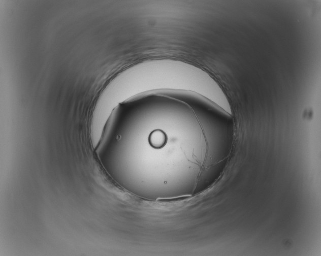 X0000111030045200907091555